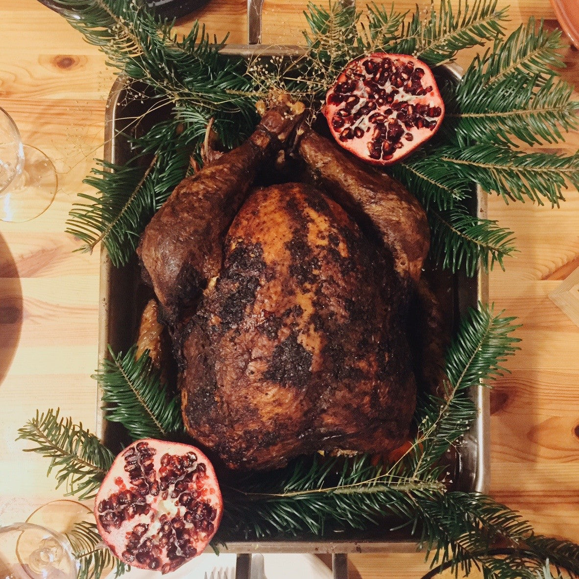 Molé Turkey